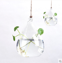 Plant Hanging Teardrop Shaped?Glass?Vase?For Sale