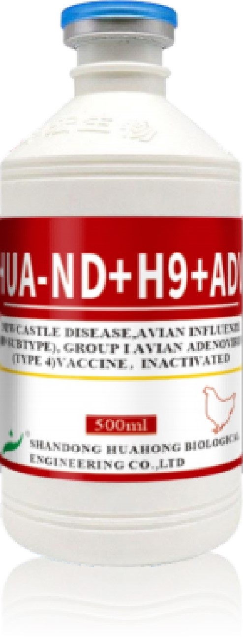 HUA-ND+H9+AD HUA-ND+H9+AD