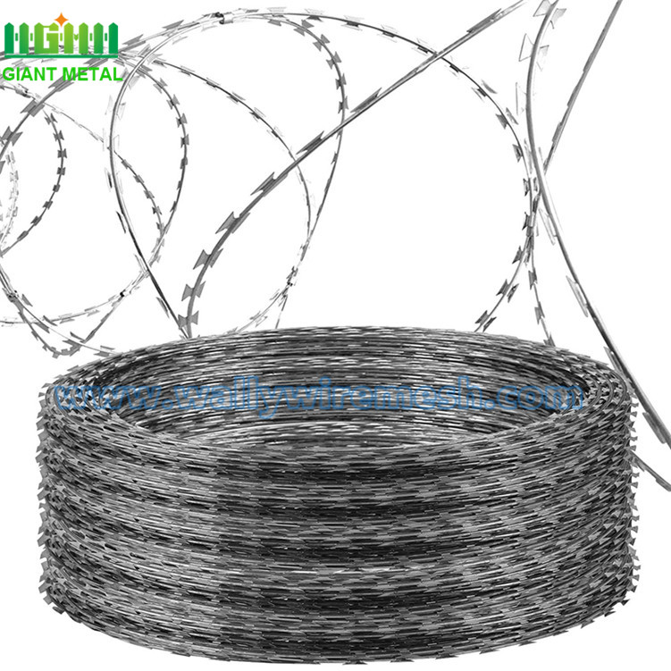 Cheap Hot Dippped Galvanized Razor Barbed Wire