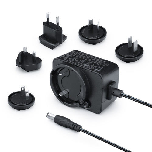 DC 5V 2A 10V1A Interchangeable Plug Power Adapter