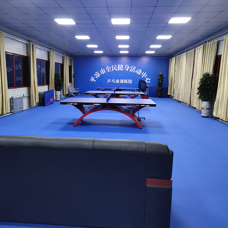 Table Tennis Court 22