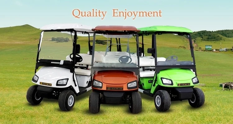 Ce Certificated China Best Sell Golf Car 6 Seater