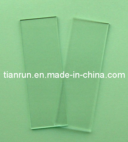 Microscope Slide (7102)