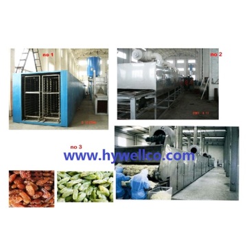 Cucumber Slices Belt Type Drying Machine