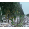 Red contra el granizo para la agricultura de plantas agrícolas