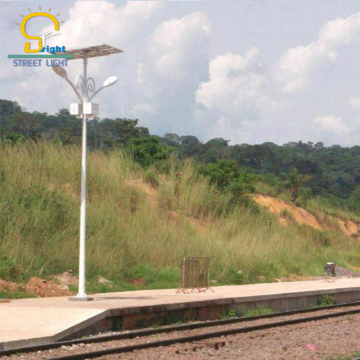 Main Road outdoor light with hidden camera 60W