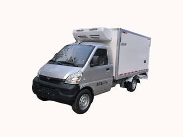 Wuling Zhiyue Rongguang Mini Truck Refrigerated Truck (6.8m3)