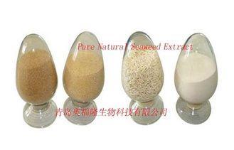 Food / Pharm Grade Ammonium Alginate Sodium Alginat Powder