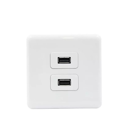 2 Gang USB Outlets useful wall socket