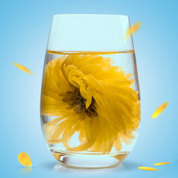 Cool and hot weather Chrysanthemum Tea