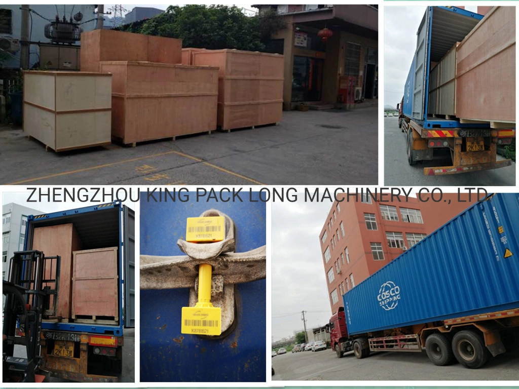 Automatic Weighing and Quantitative Packing Machine