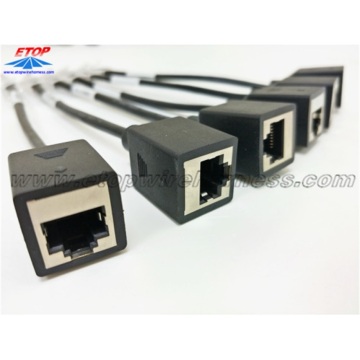 Aangepaste RJ45 -adapter Modulaire kabels te koop