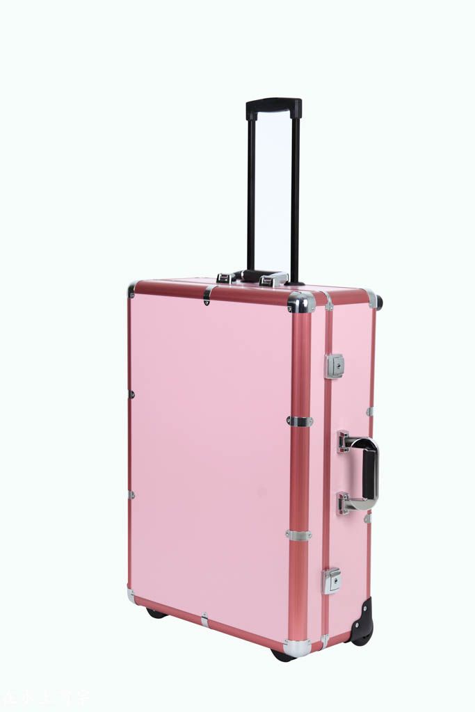 Professional Studio Makeup Rolling Case with Light Pink