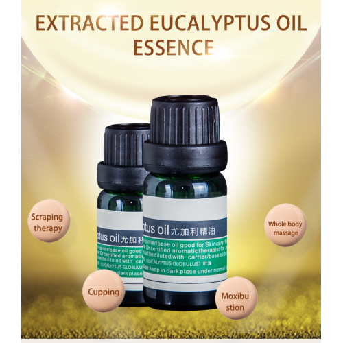 Eukalyptus 100% puhdas paras terapeuttinen eteerinen öljy
