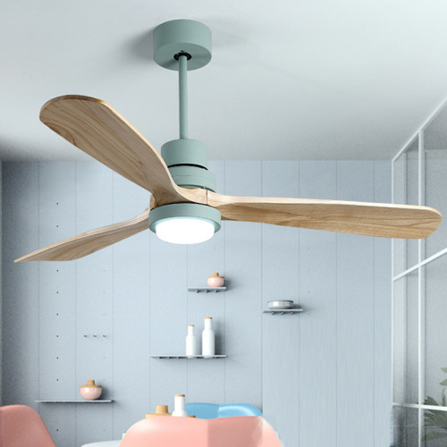 LEDER Led Lampada Moderna Fans