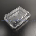 Transparent Pet Takeout Container Boxes Clamshell Food