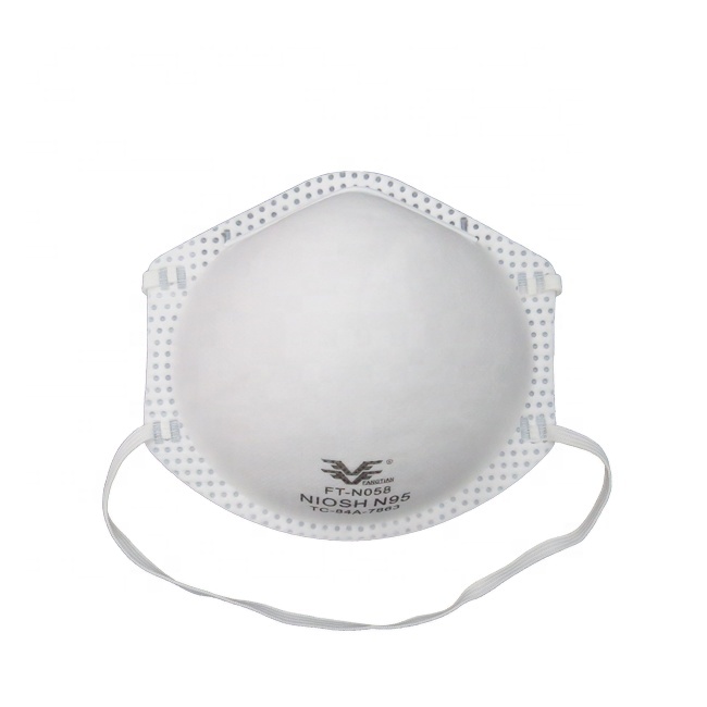 N95 Disposable Dust Mask
