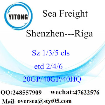 Shenzhen Port Sea Freight Shipping To Riga