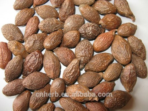 Malva nut,Taiwan sweet gum tree seed,boat fruited,Sterculia lychnophora seeds,Scaphium scaphigerum,scaphigera,Semen sterculiae