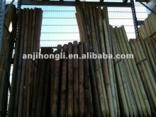 Natural China Fir Wood Stake