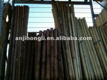 Natural China Fir Wood Stake