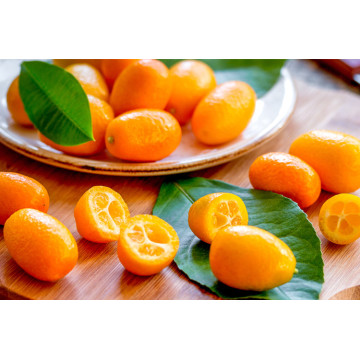 Óleo essencial de kumquat de marca própria