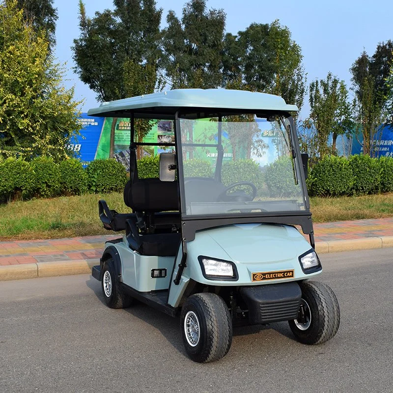 2 Seats Battery Powered Electric Sponge Seat with Safety Belt Per Seat Utility Mini Club Golf Carts with Ce Certificate