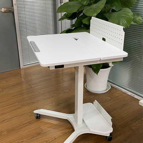 Multi-functional Adjustable Electric Mobile Standing Desk