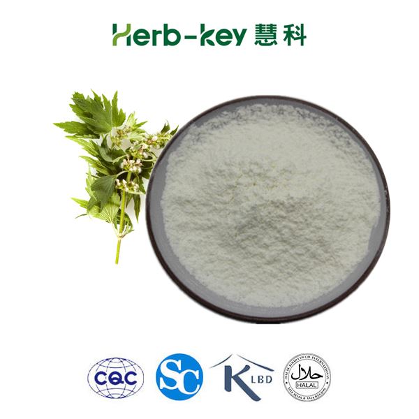 Natural Leonuri Leonurus Japonicus Motherwort Extract Powder