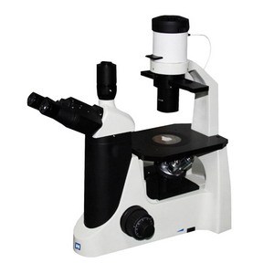 Light Trinocular Microscope (LIB-302)