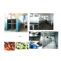 Vegetable Slices Drying Machine