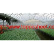 Polycarbonate hollow Sheet for wendy house