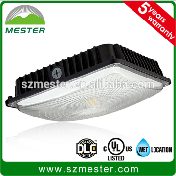 High Efficiency Canopy Lighting LED Area Light LED Canopy & Garage