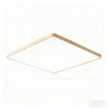 LED Ceiling Lights