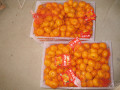 Nanfeng bayi mandarin segar 35-40mm