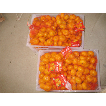 Bayi Nanfeng segar mandarin 35-40mm