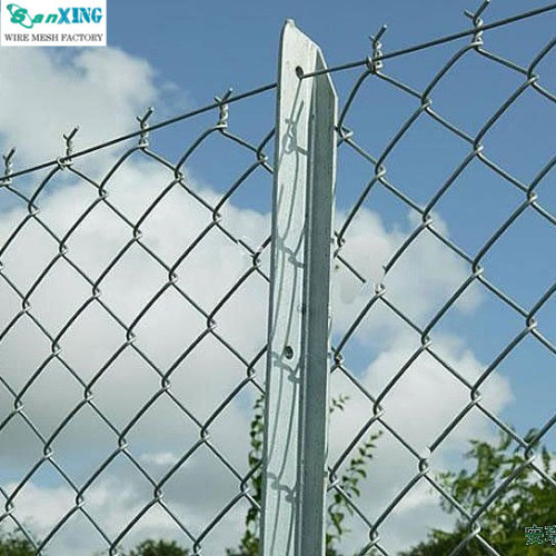 PVC Coated Chain Link Wire Mesh (HOT)