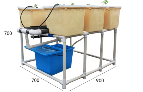 Evde dikim Dutch Bucket Hydroponics yetiştirme sistemi