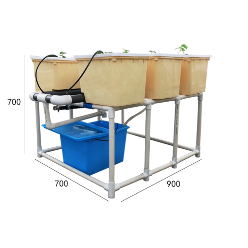 Inicio plantación sistema de cultivo hidropónico de cubo holandés