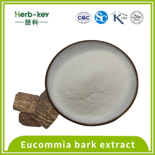 98% chlorogenic acid Eucommia bark powder
