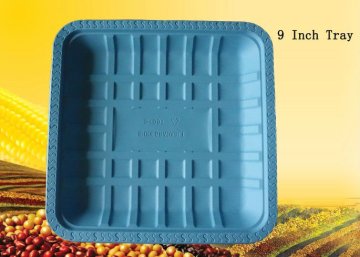 biodegradable disposable plastic 9 inch tray