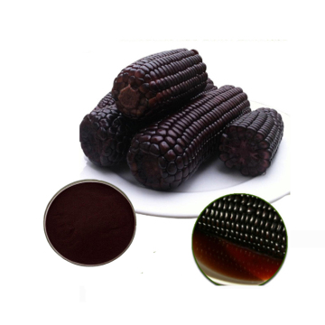 Non-GMO Purple Corn Extract Anthocyanidins