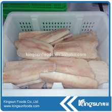 Good quality Frozen Hake Fillet (Merluccius Prodcutus)