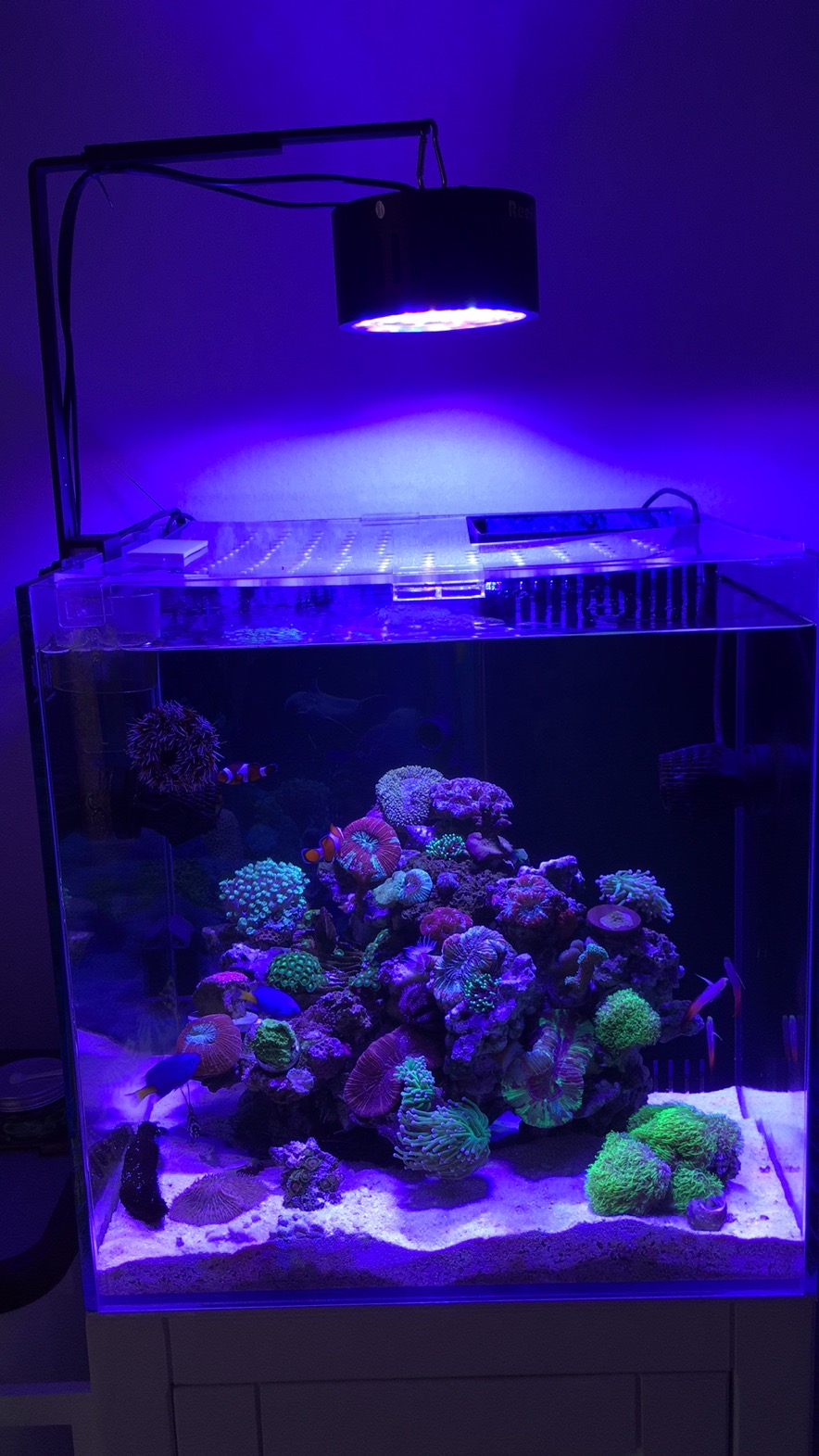 Phlizon Aquarium Light