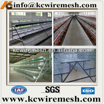 design layer chicken cages for kenya hen farm