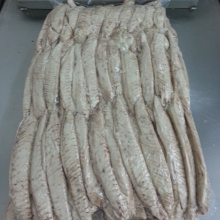 Frozen Precooked Skipjack Bonito Tuna Loin Vacuum Pack