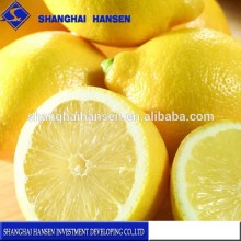 Import Agent Of Fresh Lemon From South Africa fruit agents