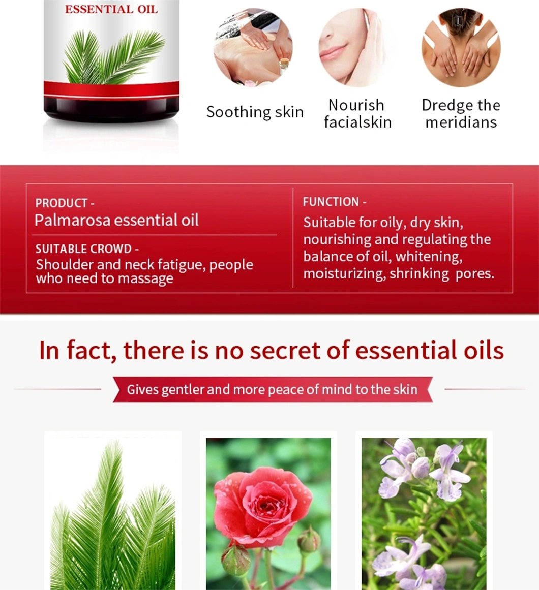 Wholesale 100% Pure Palm Essential Oil