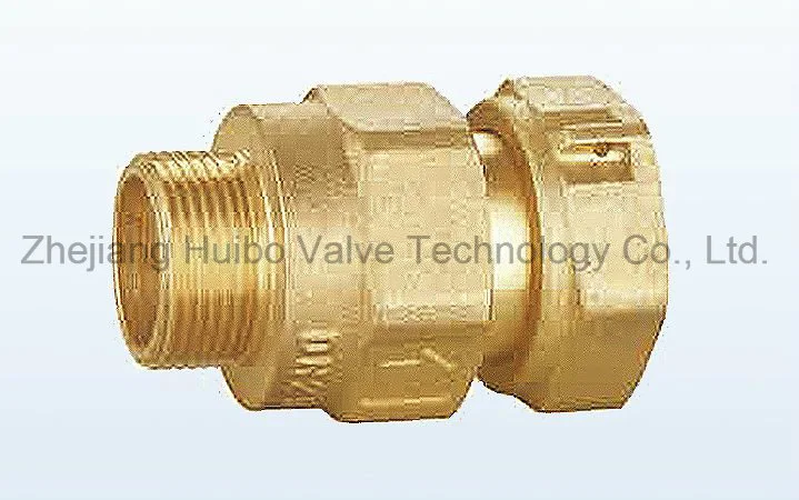 Plastic Core Brass Check Valve 3/4''inch