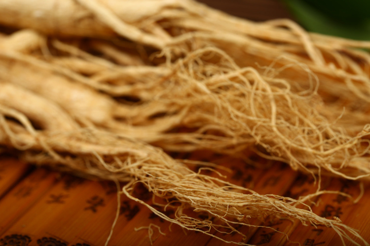 Chinese ginseng